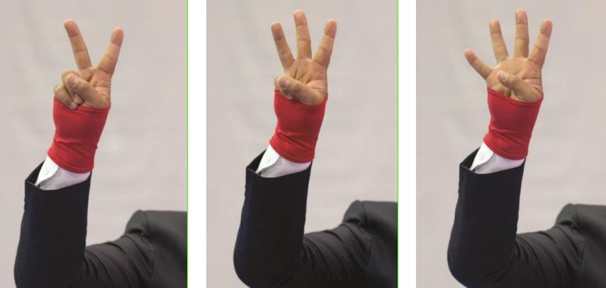 Luật thi đấu Ju-jitsu Quốc tế: Hiệu lệnh của trọng tài Luật thi đấu Ju-jitsu Quốc tế: Hiệu lệnh của trọng tài